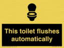 this-toilet-flushes-automatically~